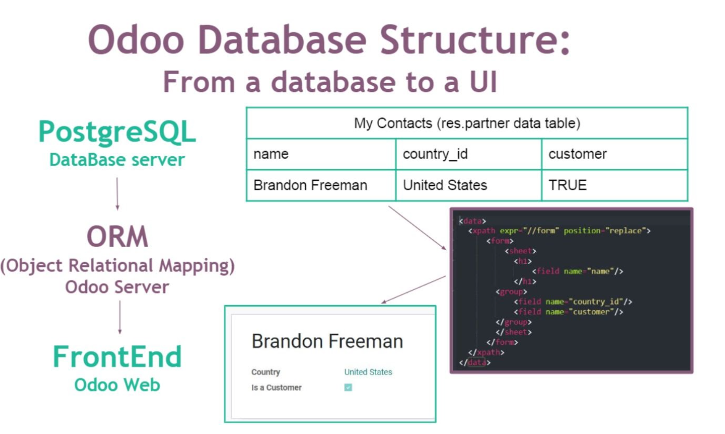 Odoo Datenbank: So funktioniert Odoo